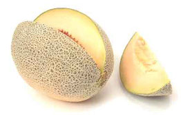 Kavun
